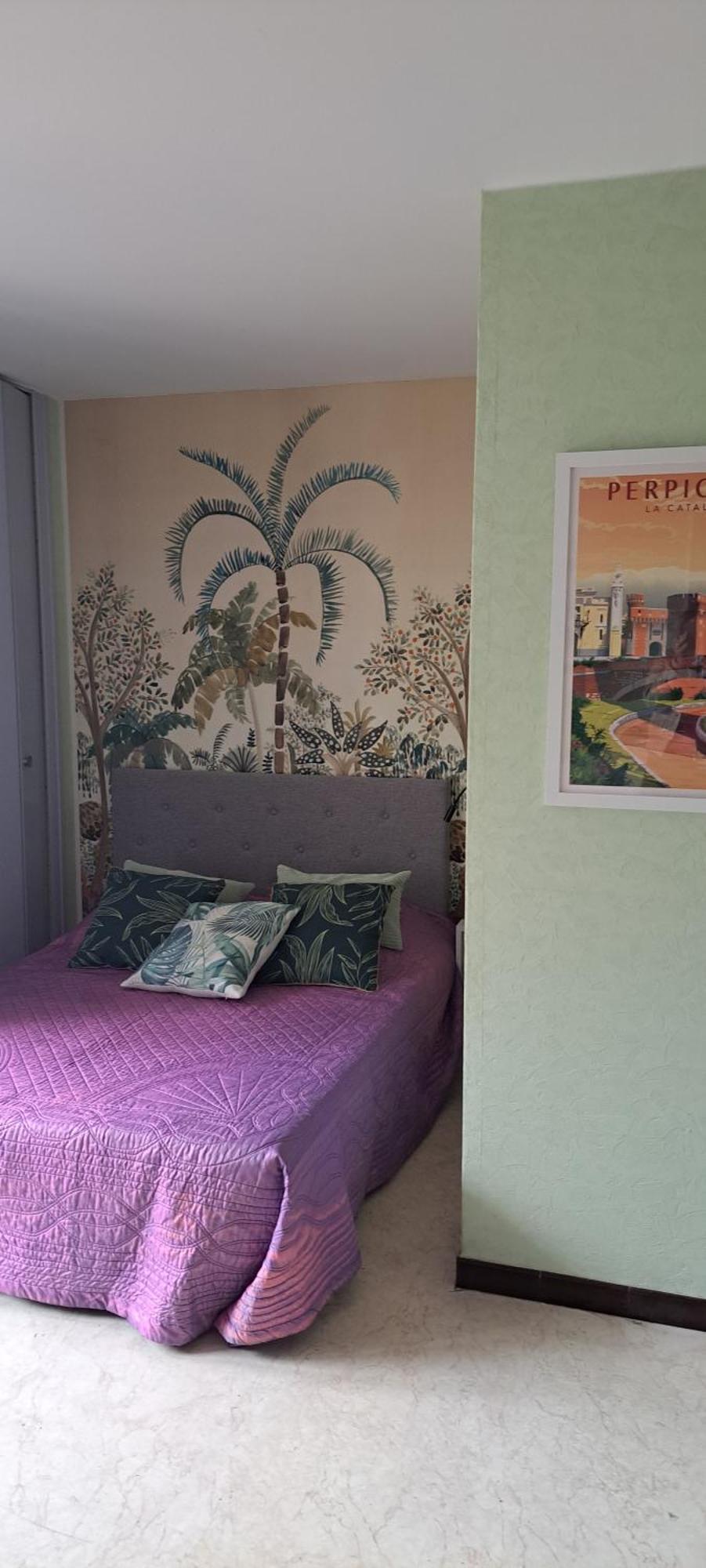 Studio Phannie Renove 50M Cures Amélie-les-Bains-Palalda Zewnętrze zdjęcie