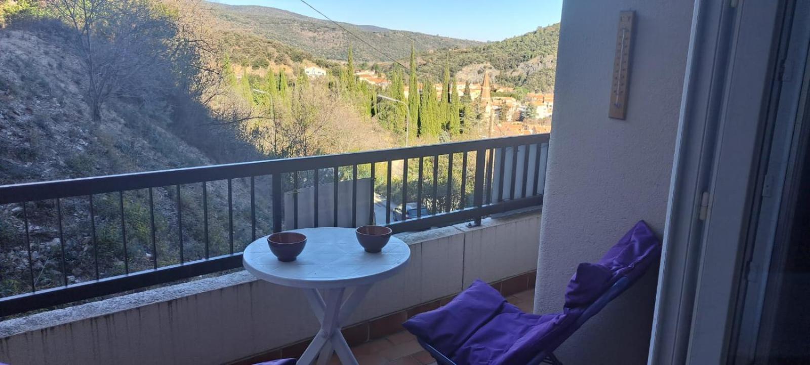 Studio Phannie Renove 50M Cures Amélie-les-Bains-Palalda Zewnętrze zdjęcie